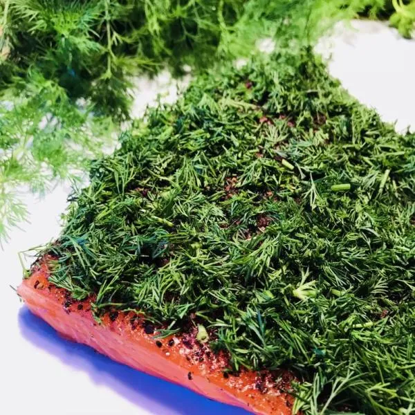Graved-salmon--pickled-salmon--Nordic-Arctic-with-aquavit--nordic-spices-and-fresh-dill